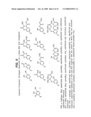 COMPOUNDS FOR SUSTAINED RELEASE OF ORALLY DELIVERED DRUGS diagram and image