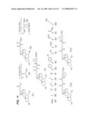 COMPOUNDS FOR SUSTAINED RELEASE OF ORALLY DELIVERED DRUGS diagram and image