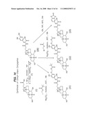 COMPOUNDS FOR SUSTAINED RELEASE OF ORALLY DELIVERED DRUGS diagram and image