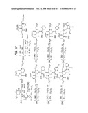 COMPOUNDS FOR SUSTAINED RELEASE OF ORALLY DELIVERED DRUGS diagram and image