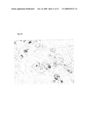 Pesticide Formulations with a Crystallization Risk, and a Method for Their Preparation diagram and image