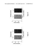 Melanin-Concentrating Hormone Receptor Antagonists and Methods of Use diagram and image