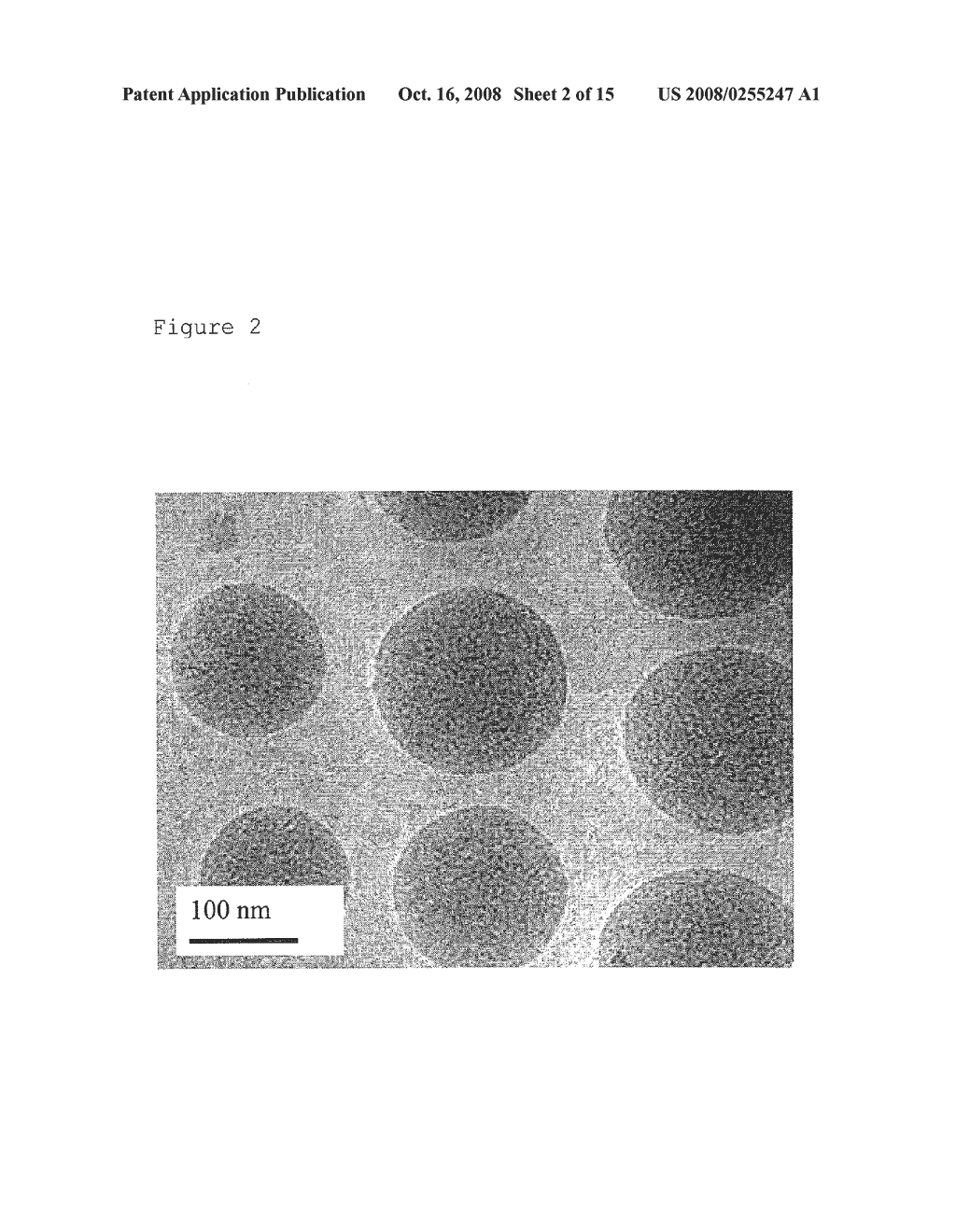 Oil-In-Water Emulsion and Its Use for the Delivery of Functionality - diagram, schematic, and image 03