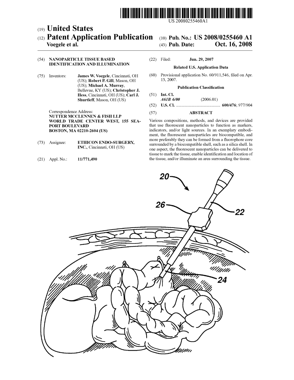 NANOPARTICLE TISSUE BASED IDENTIFICATION AND ILLUMINATION - diagram, schematic, and image 01