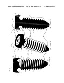 FACET FIXATION AND FUSION SCREW AND WASHER ASSEMBLY AND METHOD OF USE diagram and image