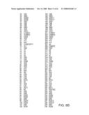 SYSTEM AND METHOD FOR PROVIDING AN ADAPTER FOR RE-USE OF LEGACY DIMMS IN A FULLY BUFFERED MEMORY ENVIRONMENT diagram and image