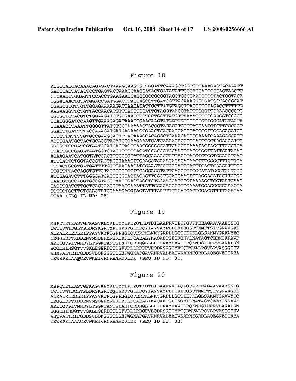 METHODS OF IDENTIFYING AND CREATING RUBISCO LARGE SUBUNIT VARIANTS WITH IMPROVED RUBISCO ACTIVITY, COMPOSITIONS AND METHODS OF USE THEREOF - diagram, schematic, and image 15