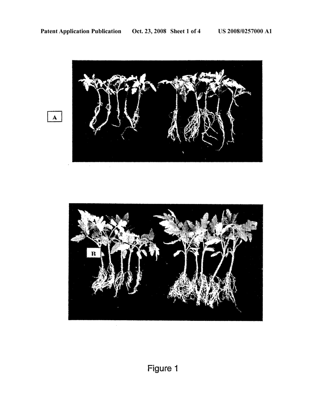 Plant Nutrient Reduction System - diagram, schematic, and image 02