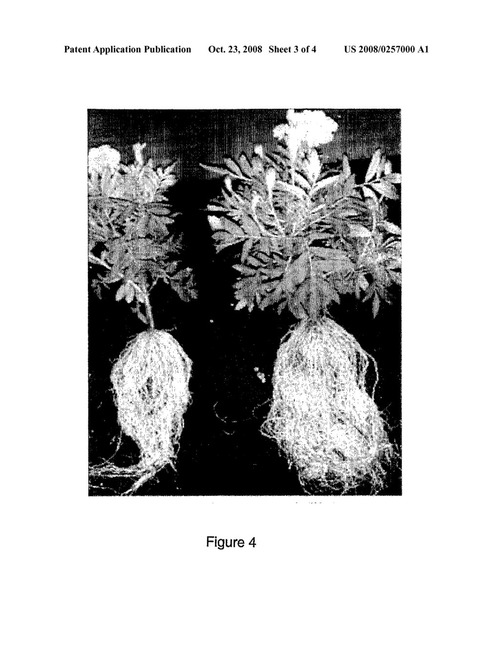 Plant Nutrient Reduction System - diagram, schematic, and image 04