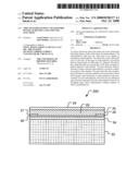 Thin Film Field Effect Transistors Having Schottky Gate-Channel Junctions diagram and image