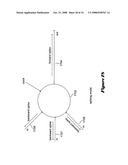 Computational nodes and computational-node networks that include dynamical-nanodevice connections diagram and image