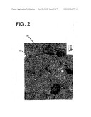 Ternary Ti-Ni-Cu Shape Memory Alloy and Process for Producing Same diagram and image