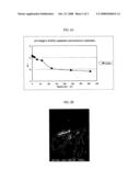 Process for Producing Carbonate Particles diagram and image