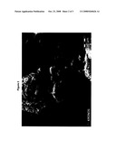 Photocatalysts Based on Titanium Dioxide diagram and image