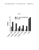 OPTIMIZED ANTIBODIES THAT TARGET CD19 diagram and image