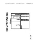 G PROTEIN COUPLED RECEPTORS AND USES THEREOF diagram and image