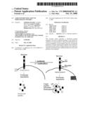 TARGETED IDENTIFICATION OF IMMUNOGENIC PEPTIDES diagram and image