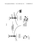 TARGETED IDENTIFICATION OF IMMUNOGENIC PEPTIDES diagram and image