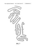 Polynucleotides Encoding Acetylcholine-Gated Chloride Channel Subunits of Caenorhabditis Elegans diagram and image