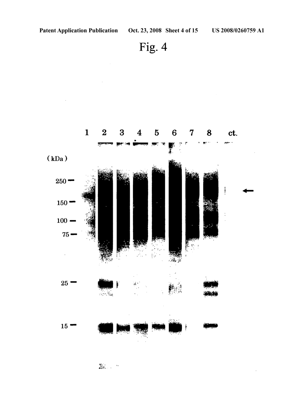 Novel Mite Allergen - diagram, schematic, and image 05