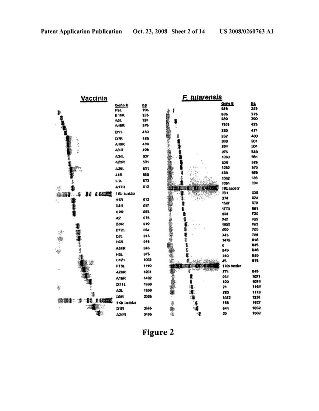 High Throughput Proteomics - diagram, schematic, and image 03