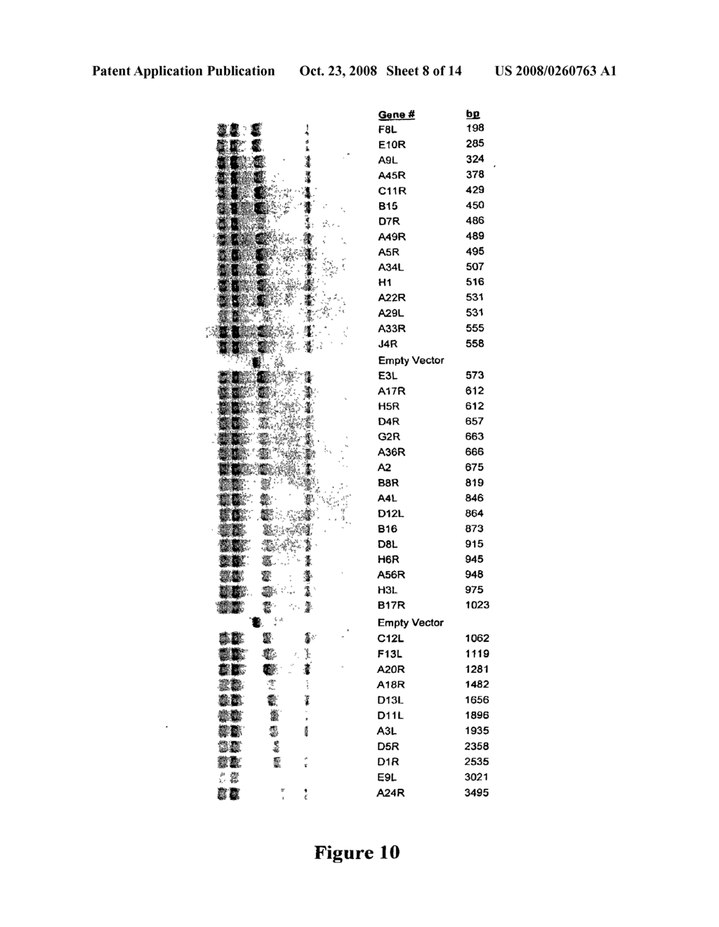 High Throughput Proteomics - diagram, schematic, and image 09