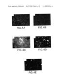 REPLIKIN PEPTIDES AND USES THEREOF diagram and image