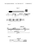 Polypeptides for Oligomeric Assembly of Antigens diagram and image