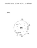 Preparation of Salmonella Broad-Spectrum Vaccines diagram and image