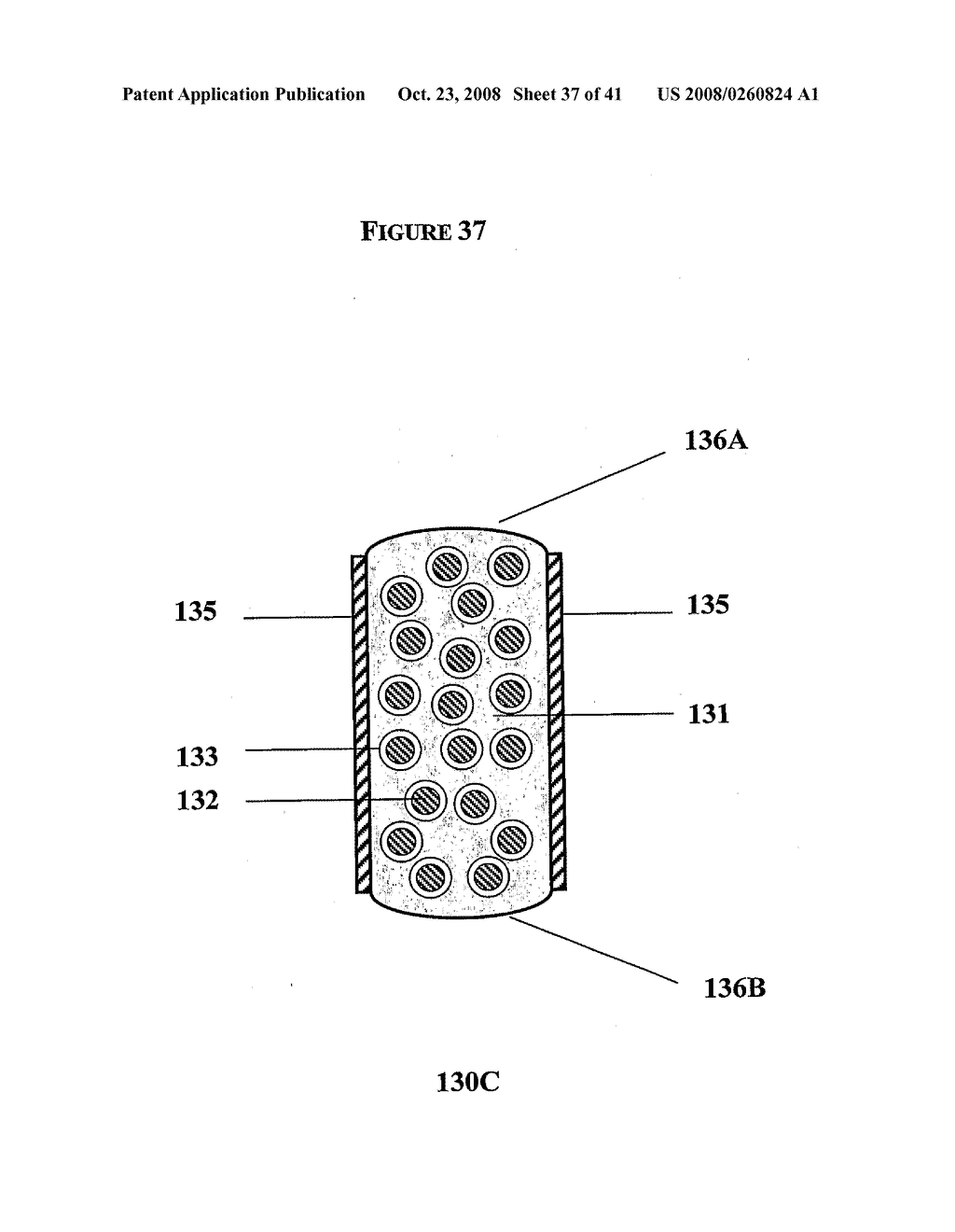 Bioadhesive Rate-Controlled Oral Dosage Formulations - diagram, schematic, and image 38