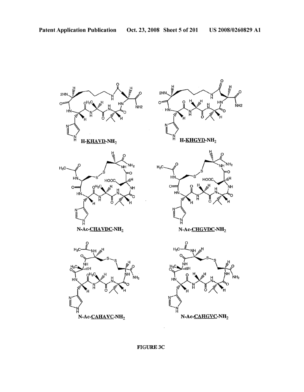 Bmp Gene and Fusion Protein - diagram, schematic, and image 06