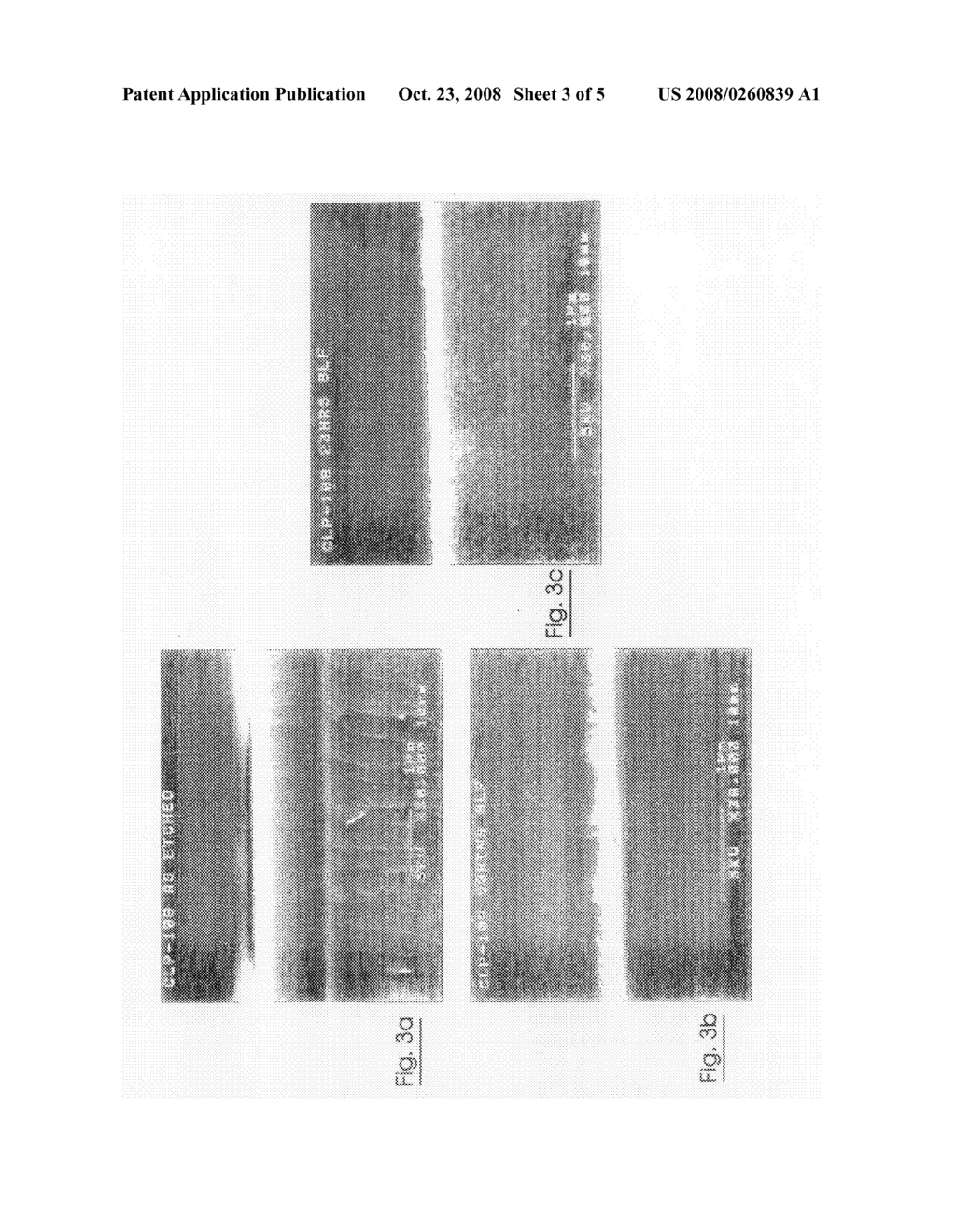 Pulmonary Formulation - diagram, schematic, and image 04