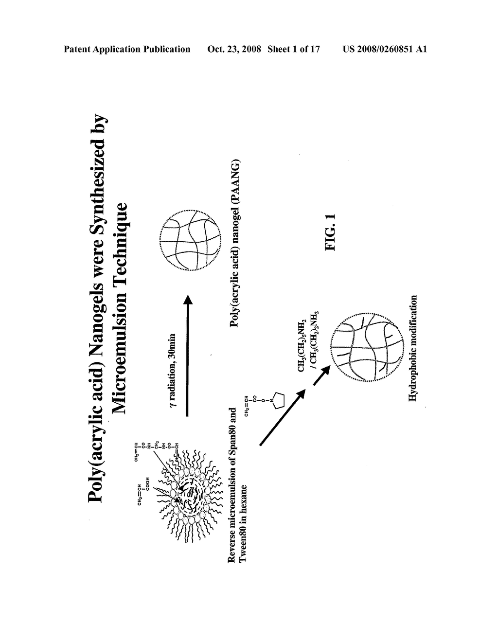 Polymeric Nanoparticles and Nanogels for Extraction and Release of Compounds - diagram, schematic, and image 02