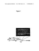 Modulating Lymphatic Function diagram and image