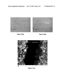 ENGINEERED SELF HEALING CEMENTITIOUS COMPOSITES diagram and image