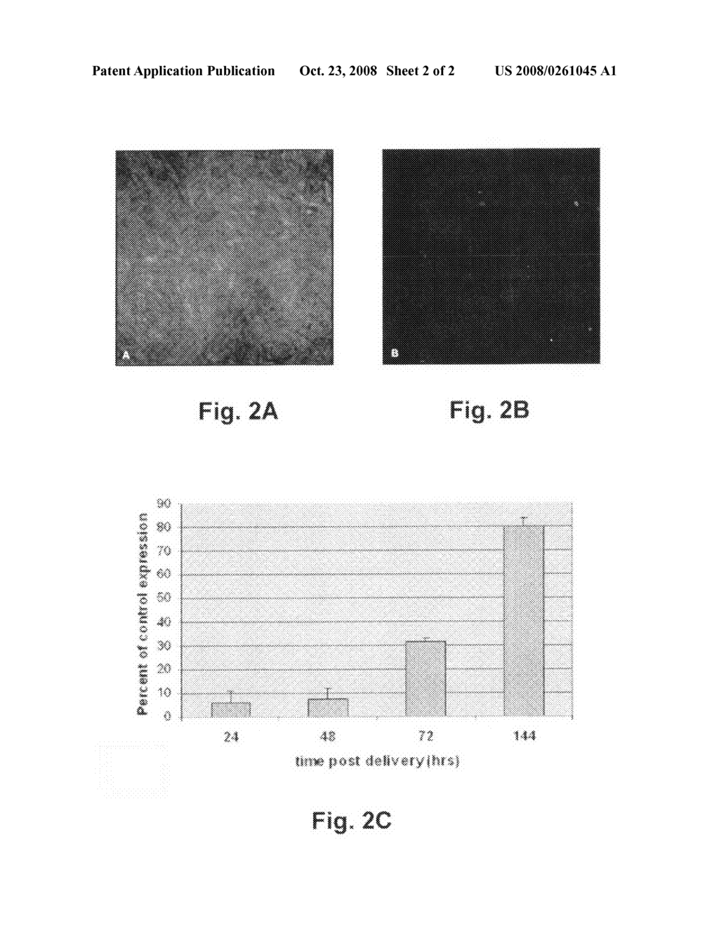 Composite and layered particles for efficient delivery of polyelectrolytes - diagram, schematic, and image 03