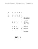 Nucleotide sequences of HIV-1 group (or subgroup) O retroviral antigens diagram and image