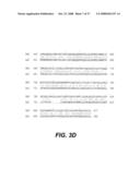 Nucleotide sequences of HIV-1 group (or subgroup) O retroviral antigens diagram and image