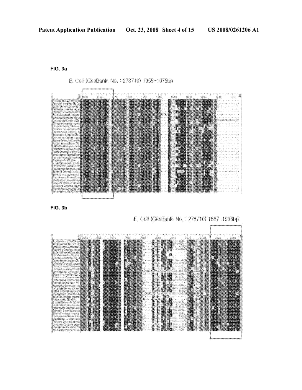 Oligonucleotide for Detection of a Microorganism, Diagnostic Kits and Methods for Detection of Microorganisms Using the Oligonucleotide - diagram, schematic, and image 05