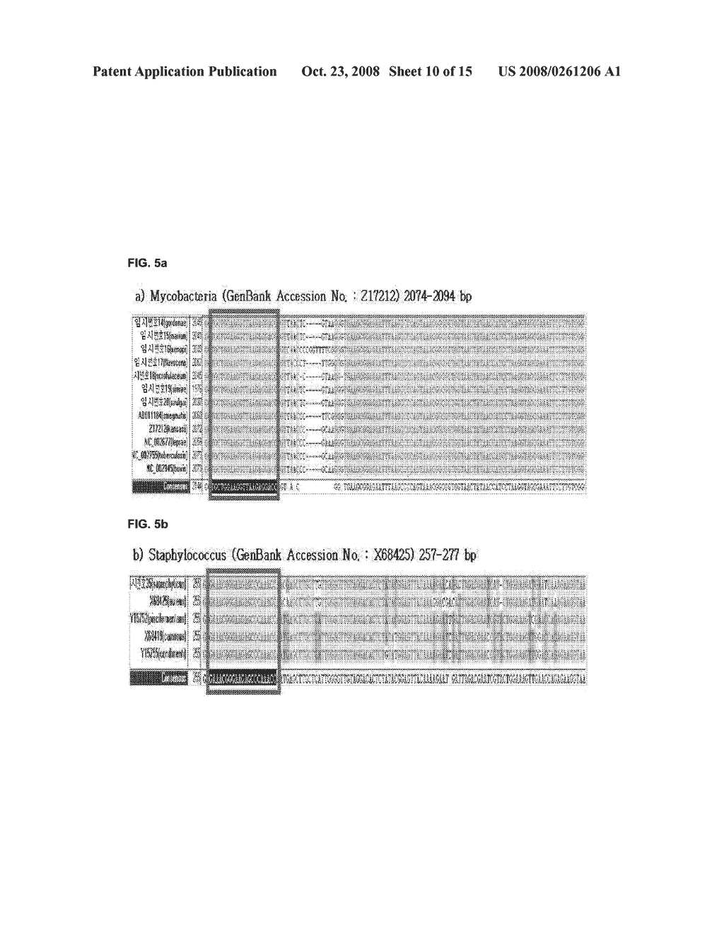 Oligonucleotide for Detection of a Microorganism, Diagnostic Kits and Methods for Detection of Microorganisms Using the Oligonucleotide - diagram, schematic, and image 11