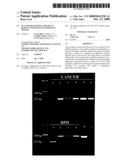 PCA3 Messenger RNA Species in Benign and Malignant Prostate Tissues diagram and image