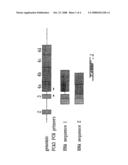 PCA3 Messenger RNA Species in Benign and Malignant Prostate Tissues diagram and image