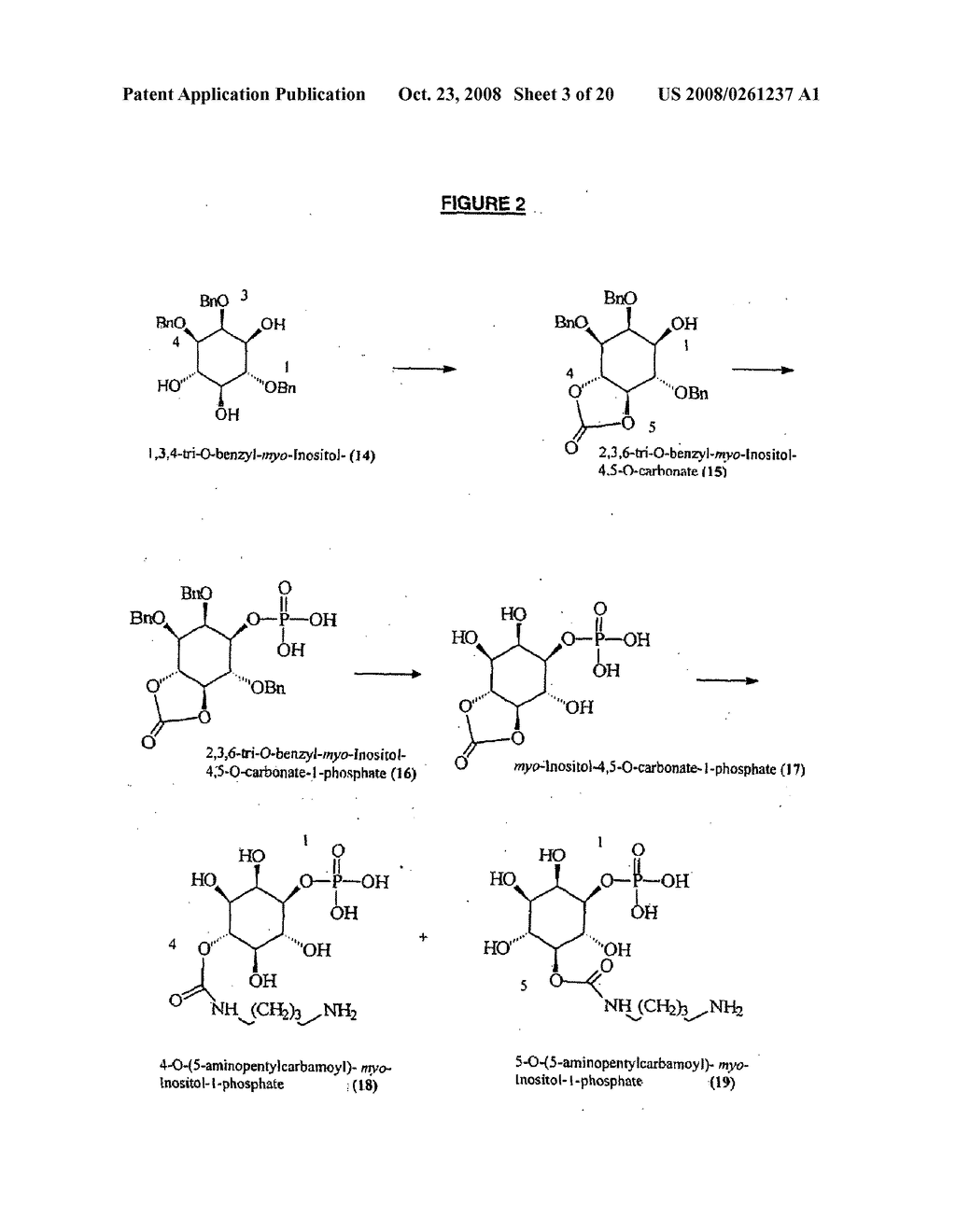 Inositol-Phosphate Derivatives and Method of Detecting Inositol-1-Phosphate - diagram, schematic, and image 04