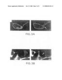 Methods of assaying receptor activity and constructs useful in such methods diagram and image