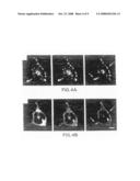 Methods of assaying receptor activity and constructs useful in such methods diagram and image