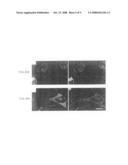 Methods of assaying receptor activity and constructs useful in such methods diagram and image