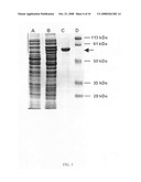 Fermentation Process for Preparing Coenzyme Q10 by the Recombinant Agrobacterium tumefaciens diagram and image