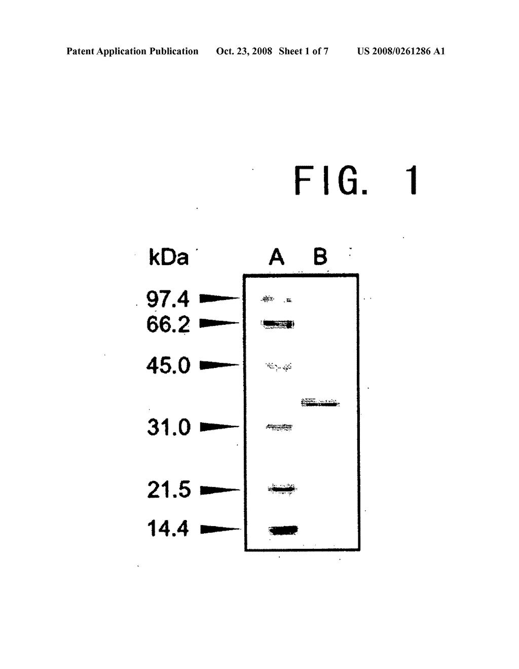 Methods for producing optically active alpha-hydroxy amides - diagram, schematic, and image 02