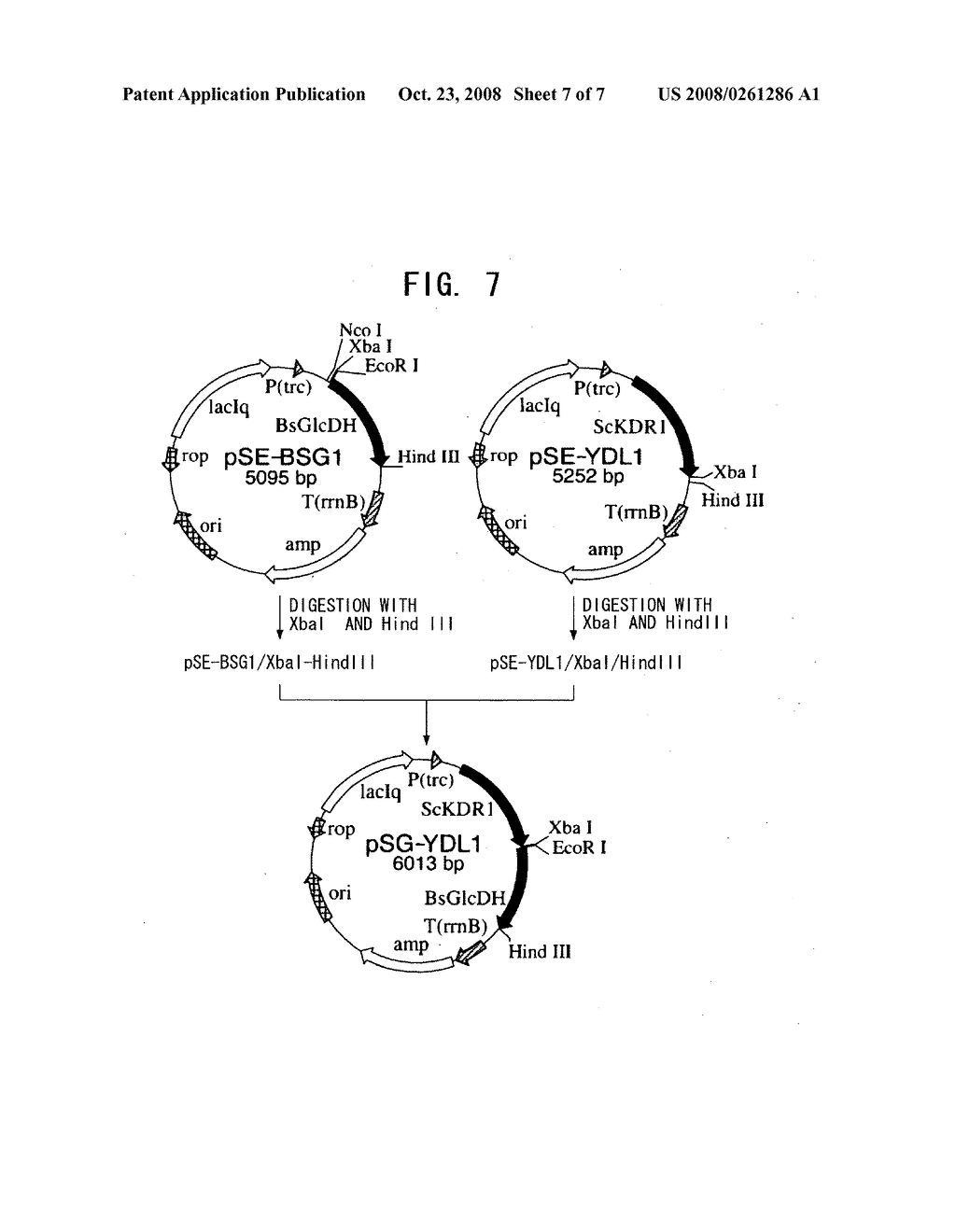 Methods for producing optically active alpha-hydroxy amides - diagram, schematic, and image 08