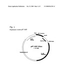 Tetrahymena Heat Inducible Promoters and Their Use diagram and image